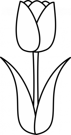 Тюльпан раскраска для детей