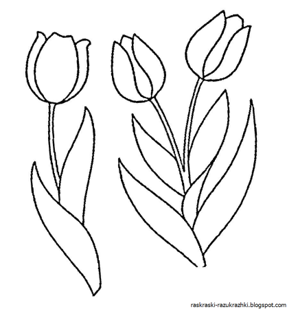 Тюльпан раскраска для детей