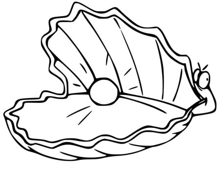 Раскраски ракушки морские