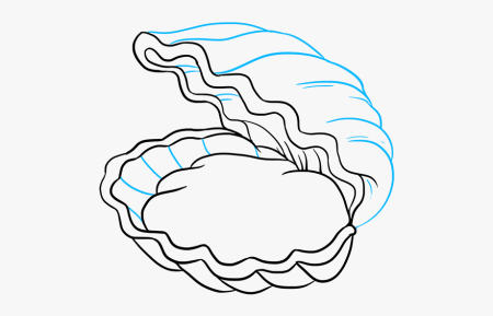 Жемчужина в раковине карандашом