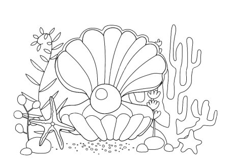 Ракушка с жемчужиной раскраска для детей