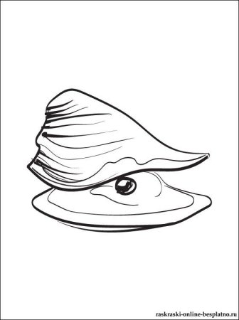 Раскраска Жемчужина в раковине