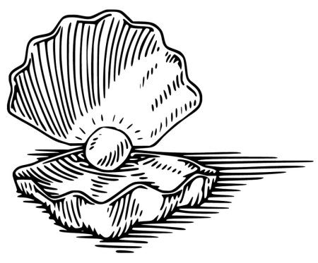 Ракушки для вырезания