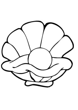 Морская раковина контур