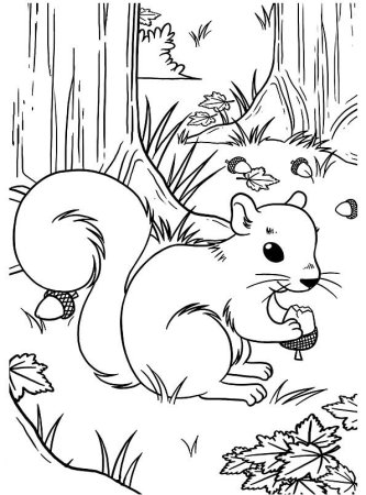 Бельчонок раскраска