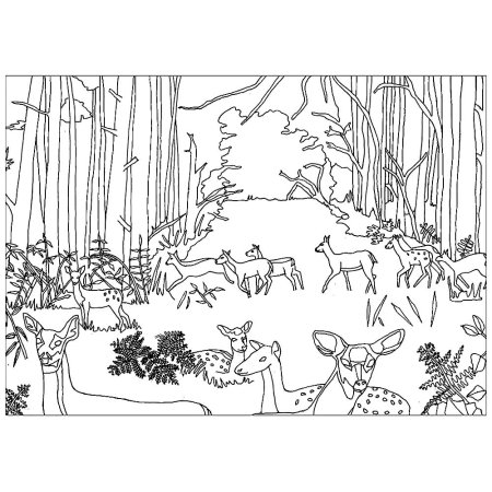 В лесу. Раскраска