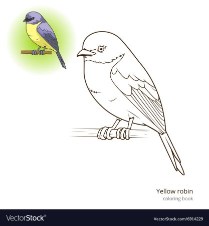 Синица рисунок