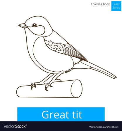 Синица карандашом