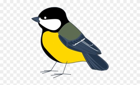 Карточки Домана птицы синица