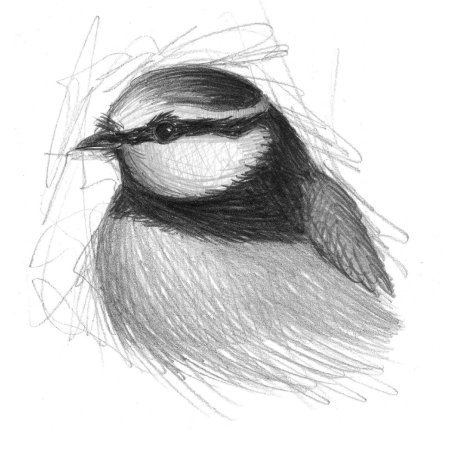 Синичка для дошкольников