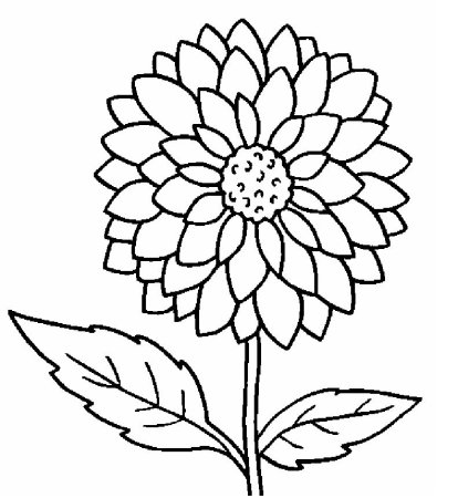 Георгины раскраска