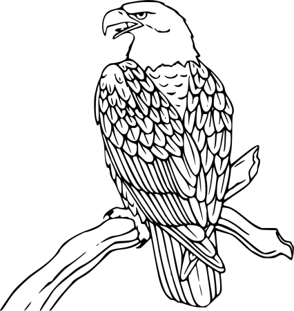 Орел раскраска