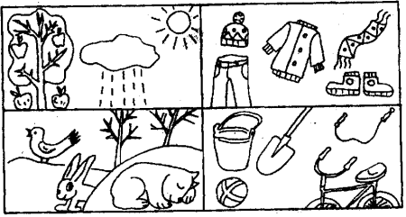 Живая и неживая природа раскраска