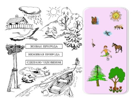 Живая и неживая природа задания