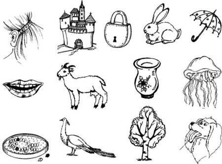 Дифференциация з зь