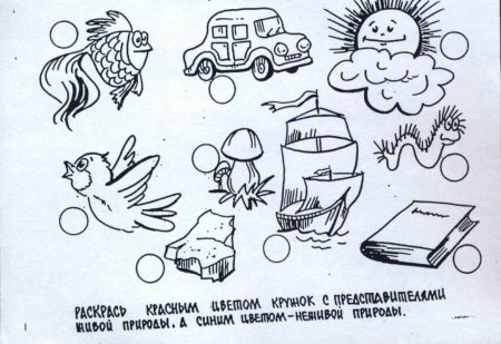 Живая и неживая природа раскраска