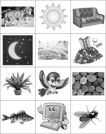 Живые и неживые предметы