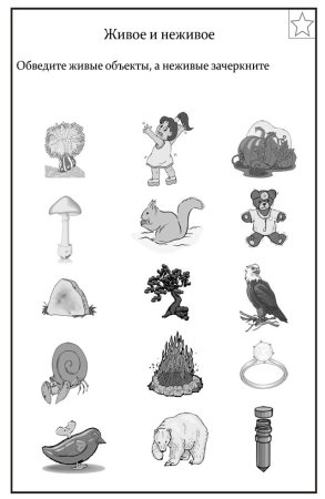 Живое неживое задания для дошкольников
