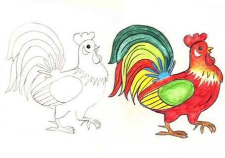 Петух раскраска