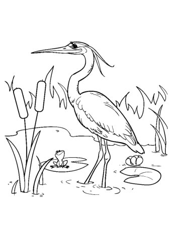 Цапля рисунок