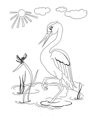 Цапля раскраска для детей