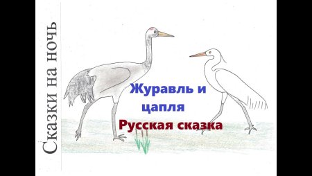 Иллюстрация к сказке цапля и журавль рисунок