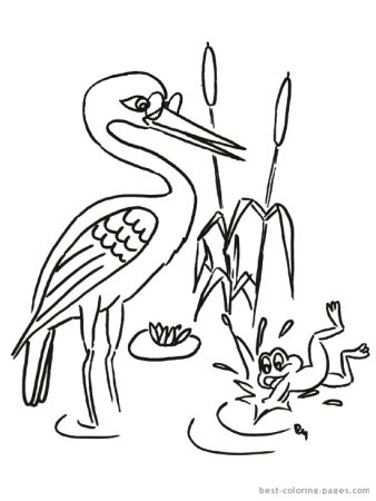 Кто чем поёт Бианки рисунок