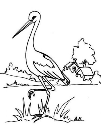 Аист раскраска
