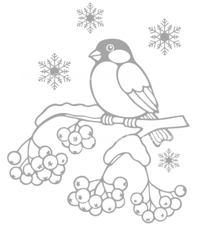 Снегирь на ветке раскраска