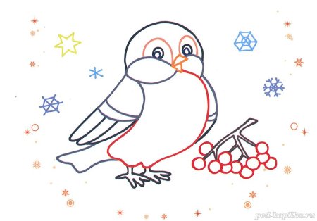 Снегирь зима: векторные изображения и иллюстрации, которые можно скачать бесплатно | Freepik