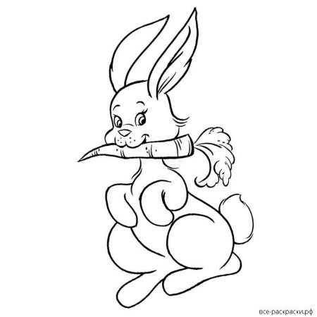 Зайчик с морковкой раскраска для детей