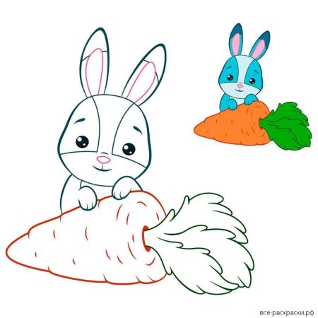 Картинка для раскраски. Заяц с морковкой