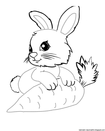 Заяц раскраска