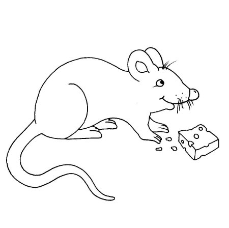 Мышка в норке рисунок для детей раскраска (43 фото)