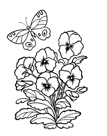 Анютины глазки раскраска