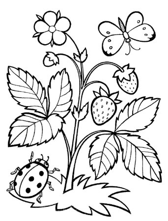 Божья коровка раскраска