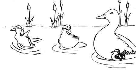Рисование утки с утятами
