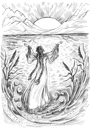 Паж чаш в разных колодах