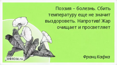 Большая река течет тихо умный не повышает голос