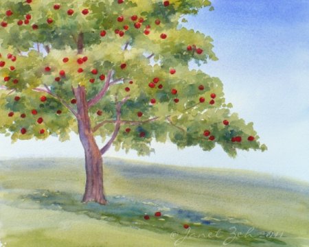 Яблоня гуашью дерево