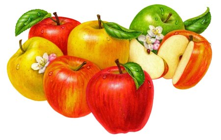 Яблоко рисунок