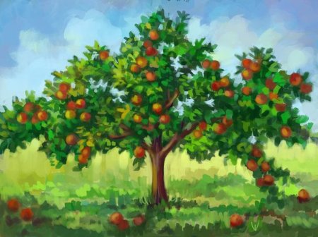 Фруктовые деревья для детей