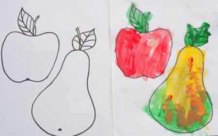 Рисование фруктов в средней группе