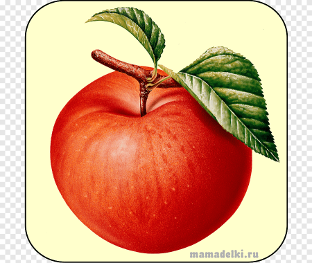 Детский сад яблочко