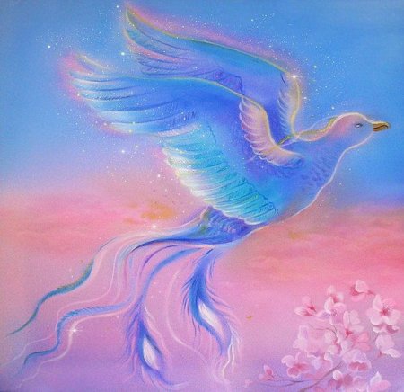 Волшебная птица