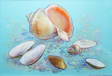 Рисуем раковину морскую