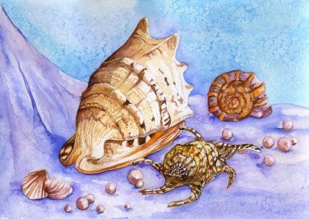 Рисуем ракушку с детьми