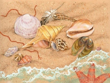 Морские иллюстрации