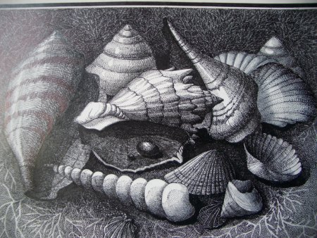 Морской натюрморт Графика