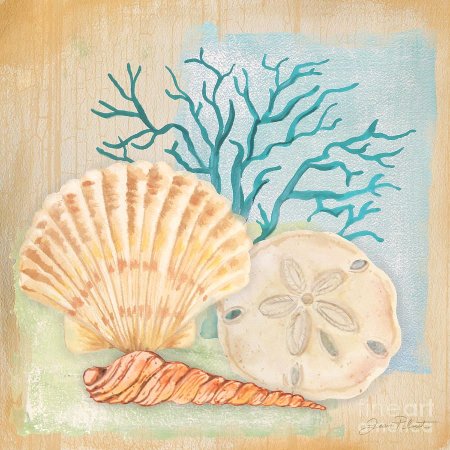 Рисование на морских ракушках